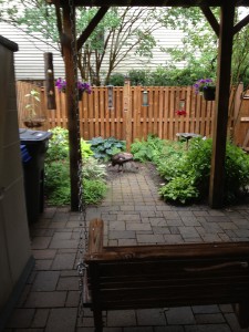 Turkey visits Mt. Woodley resident's back yard